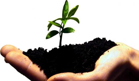 Metodología Lean Start Up Metodología Lean Start Up