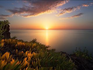 ENTRE LAS REJAS... ENTRE LAS REJAS...