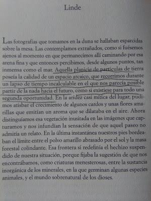 `LEY MATINAL´, DE ISABEL MORENO GARCÍA `LEY MATINAL´, DE ISABEL MORENO GARCÍA