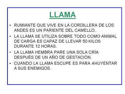 Libro de los Animales