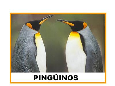 Libro de los Animales