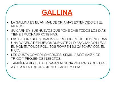 Libro de los Animales