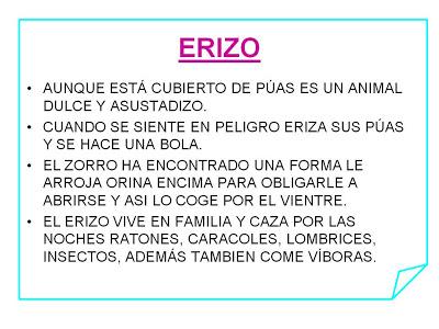 Libro de los Animales