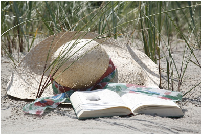 LECTURAS ESTIVALES A VOLUNTAD LECTURAS ESTIVALES A VOLUNTAD