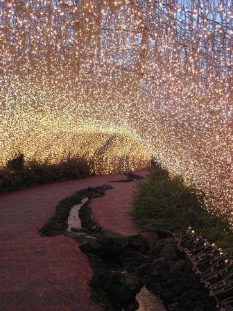 Lluvia de estrellas, otra forma de iluminar tu boda f7215eb2a5b596bcaa1eb1fbd11db949