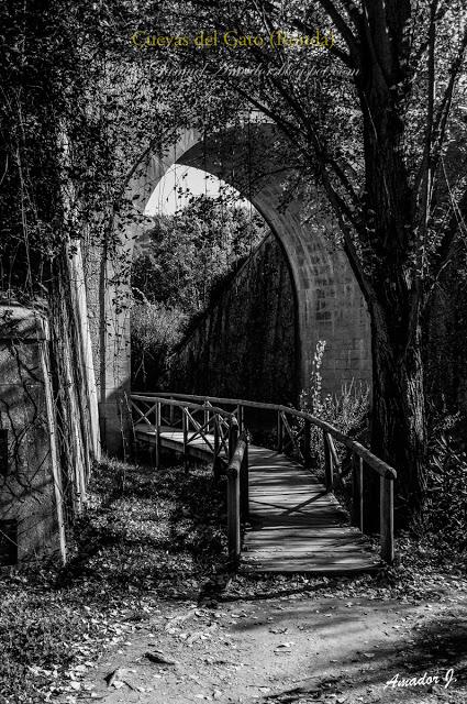 CUEVA DEL GATO, MONTEJAQUE-BENAOJÁN (MÁLAGA)