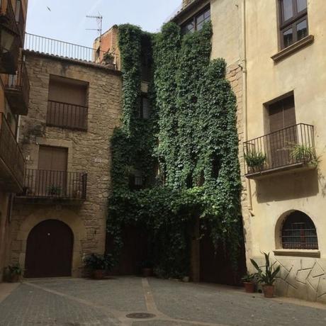 Top links junio Top links junio