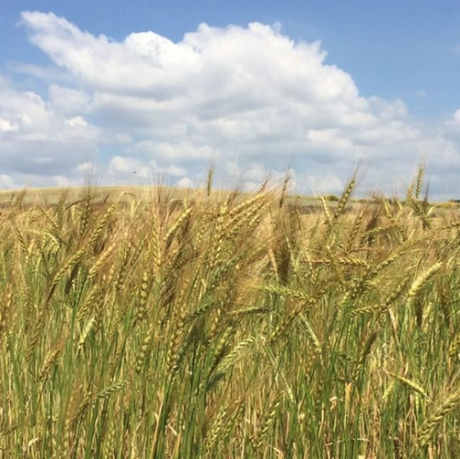 Top links junio Top links junio