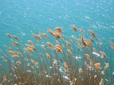 Camino Natural del Guadiana en el Campo de Montiel Carrizos. Autor, Guadiana Ecológico