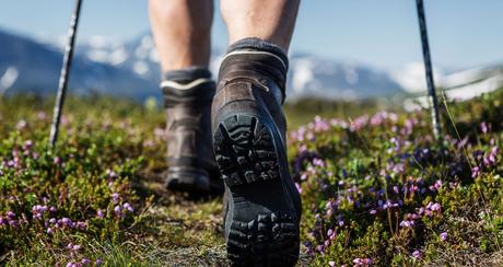 Hiking Essential Equipment Hiking Essential Equipment