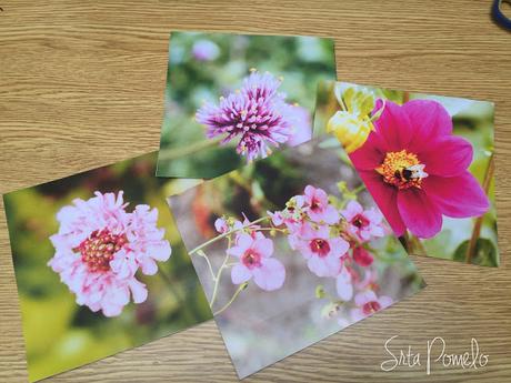 Cómo hacer un portafotos con fundas de CDs. Cómo hacer un portafotos con fundas de CDs.