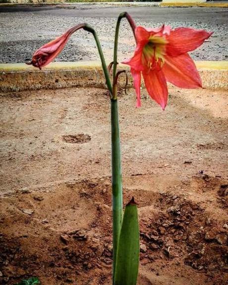 FB_IMG_1467526370006.jpg image