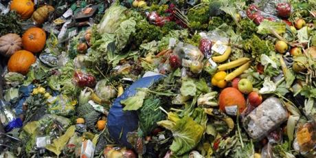 Quiero tus residuos, los convierto en energía Quiero tus residuos, los convierto en energía