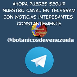 Ya tenemos TELEGRAM @botanicosdevenezuela