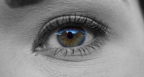 Piel grasa y piel mixta Piel grasa y piel mixta