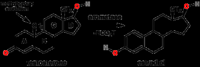 1280px-Testosterone_estradiol_conversion Boghog2 -