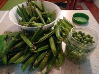 MERLUZA CON LANGOSTINOS A LA KOXKERA (A la Donostaria o a la Vasca) MERLUZA CON LANGOSTINOS A LA KOXKERA (A la Donostaria o a la Vasca)