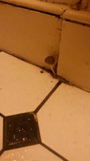 Ventajas y desventajas de vivir en Londres Ventajas y desventajas de vivir en Londres