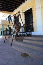 Ayuda para unos leones viejos! Ayuda para unos leones viejos!