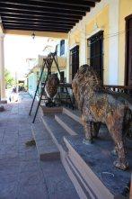 Ayuda para unos leones viejos! Ayuda para unos leones viejos!