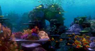 Cine Ambiental; Buscando a Nemo