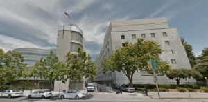 Instinto básico Instinto básico