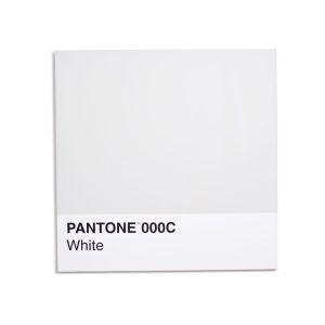 pantone white