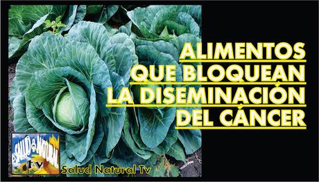 ALIMENTOS QUE BLOQUEAN LA DISEMINACIÓN DEL CÁNCER