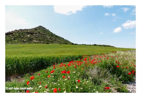 Malas hierbas Malas hierbas