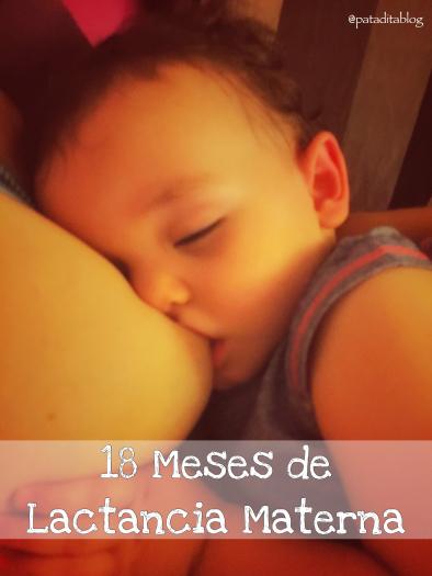 18 meses de Lactancia Materna