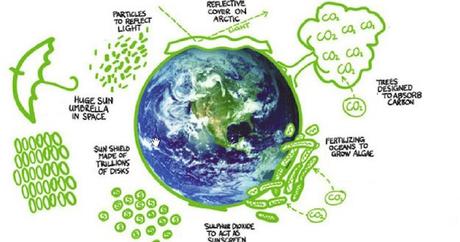 Crisis ecológica global: actuar ahora o nunca