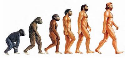 Imágenes de la evolución.