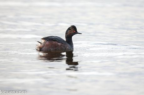 Review Sigma 120-300mm f2.8 EX DG OS HSM (S) Review Sigma 120-300mm f2.8 EX DG OS HSM (S)