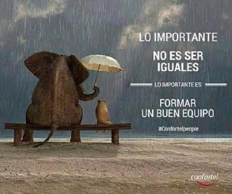 La importancia de crear buenos equipos La importancia de crear buenos equipos