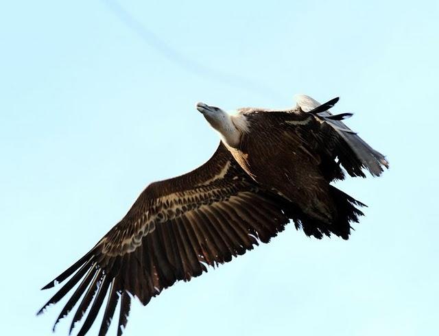 NAVARRA LAS FOCES DE LUMBIER Y ARBAYÚN NAVARRA LAS FOCES DE LUMBIER Y ARBAYÚN