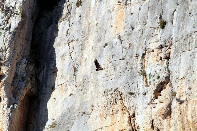 NAVARRA LAS FOCES DE LUMBIER Y ARBAYÚN NAVARRA LAS FOCES DE LUMBIER Y ARBAYÚN