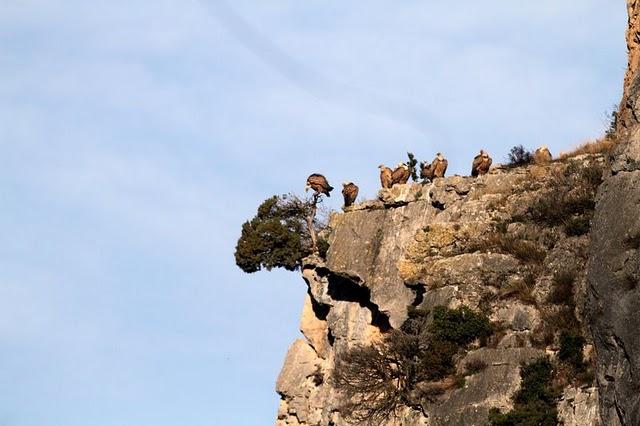 NAVARRA LAS FOCES DE LUMBIER Y ARBAYÚN NAVARRA LAS FOCES DE LUMBIER Y ARBAYÚN