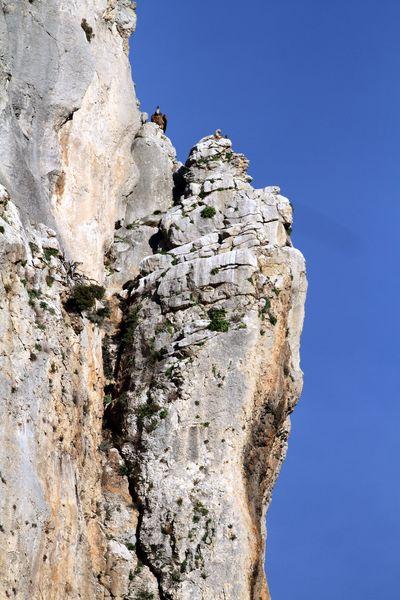 NAVARRA LAS FOCES DE LUMBIER Y ARBAYÚN NAVARRA LAS FOCES DE LUMBIER Y ARBAYÚN