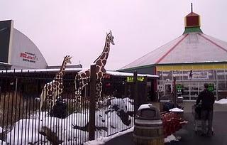 Jungle Jim´s, un parque temático para gourmets Jungle Jim´s, un parque temático para gourmets