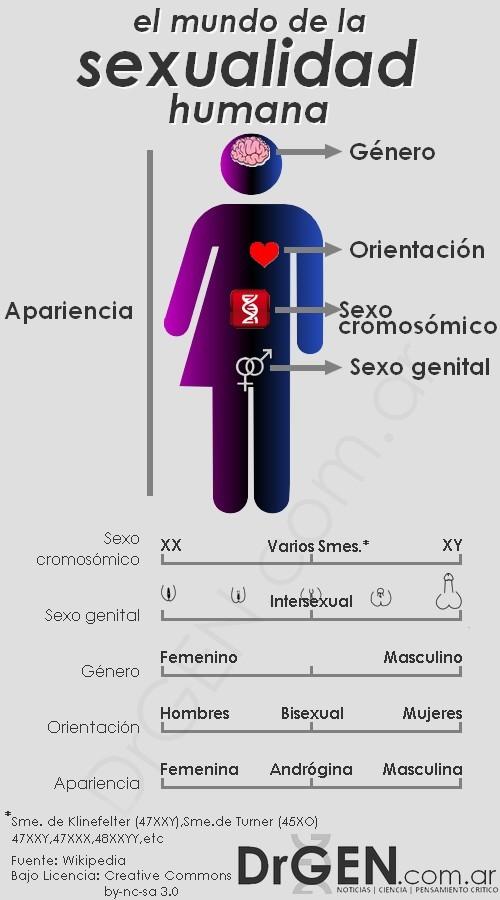 infografia sexualidad humana1 El mundo de la sexualidad humana y la disforia de género [Infografía]