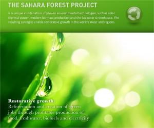 El Sahara Forest Project ayudaria a transformar el desierto en un Oasis Verde