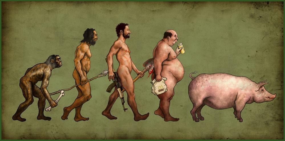 Imágenes evolucionistas Imágenes evolucionistas