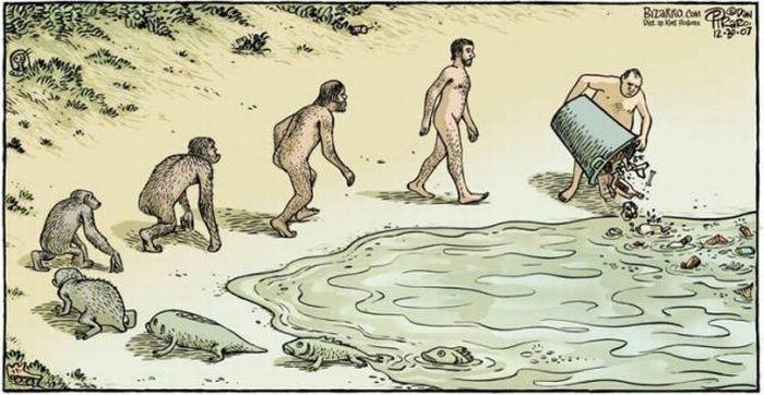 Imágenes evolucionistas Imágenes evolucionistas