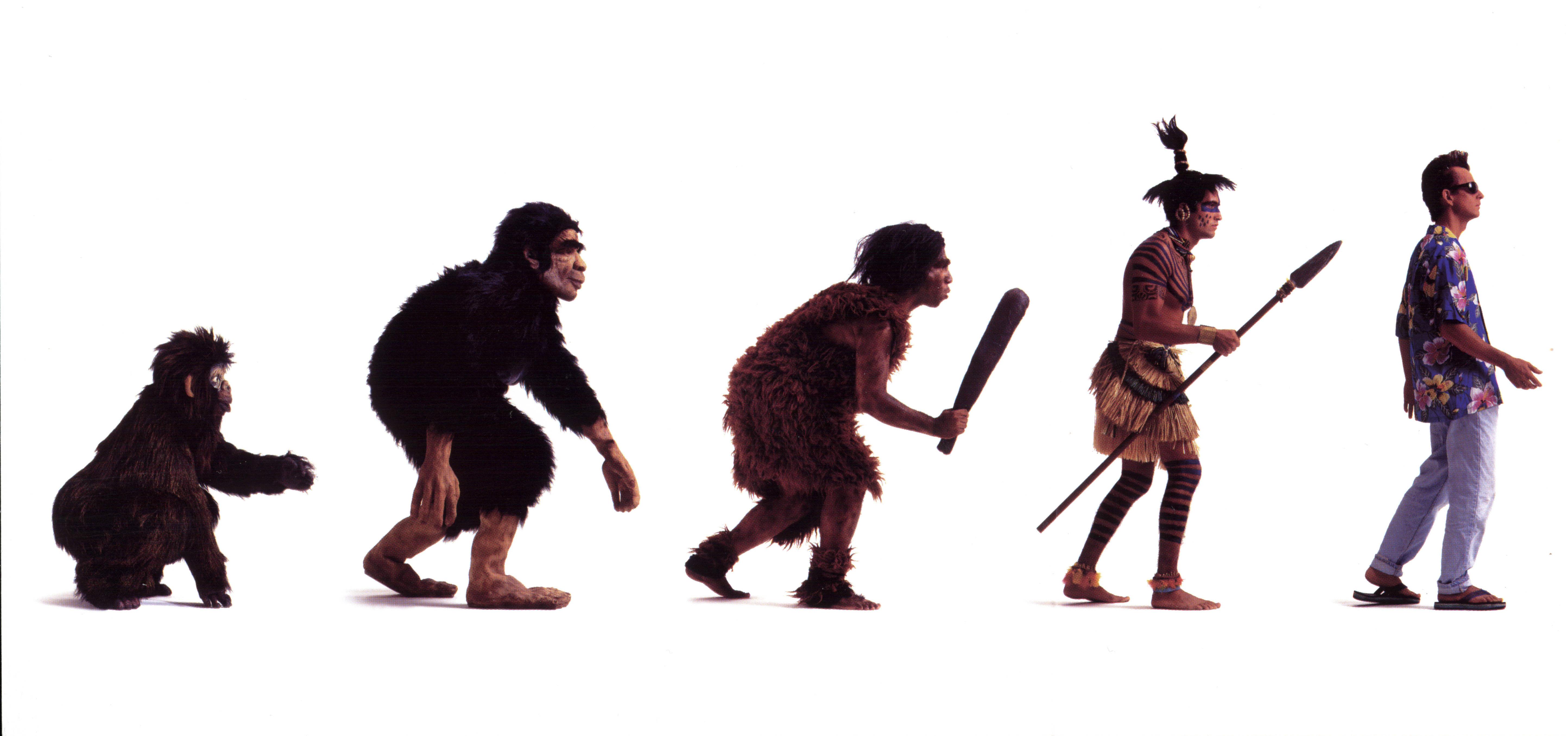 Imágenes evolucionistas Imágenes evolucionistas