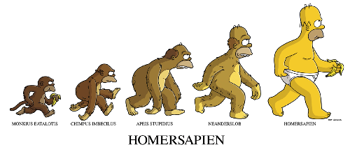 Imágenes evolucionistas Imágenes evolucionistas