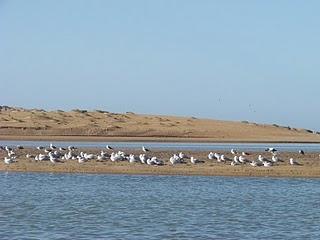 Moulay Bousselham Moulay Bousselham