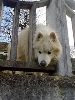 Paseando por Mioño: fotos varias... Paseando por Mioño: fotos varias...