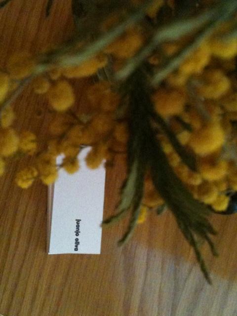 Juanjo Oliva, maestro de moda Juanjo Oliva, maestro de moda