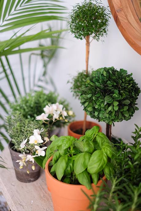 antes y después: cómo decorar una terraza cubierta antes y después: cómo decorar una terraza cubierta