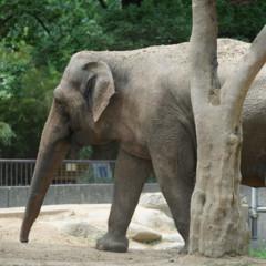 Sony FE 70-200mm F2.8 GM OSS: toma de contacto image01